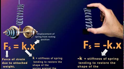 elongation equation|Hookes Law .
